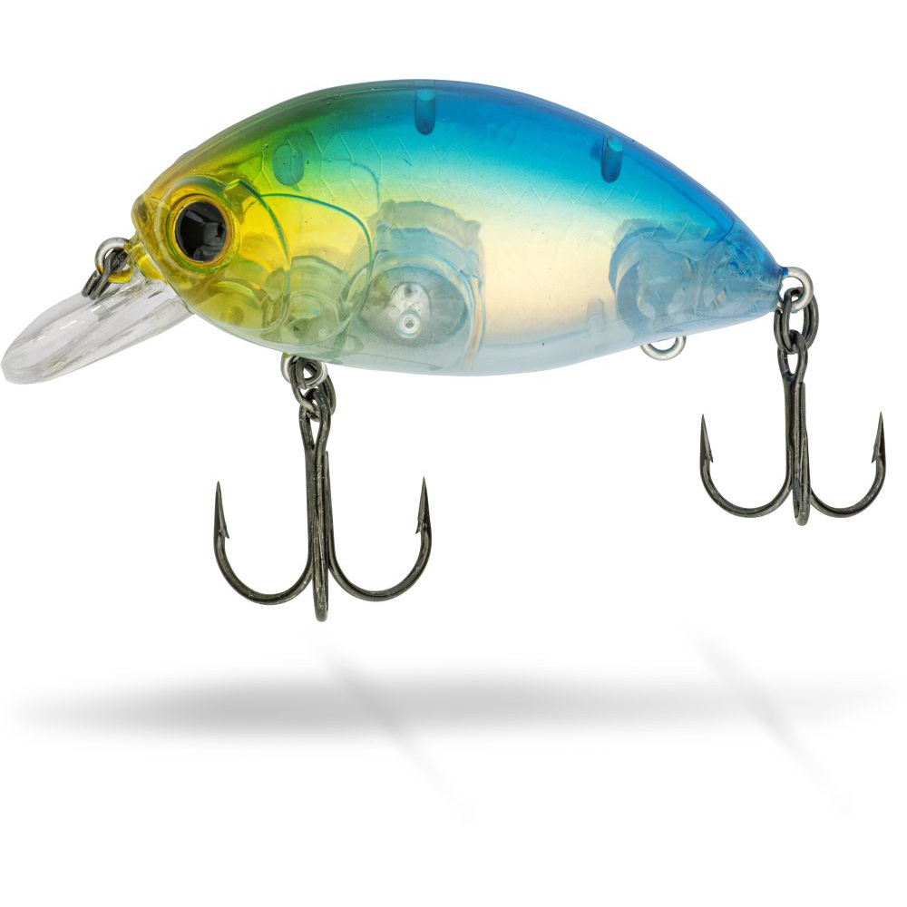 Quantum FAT Minnow SR
