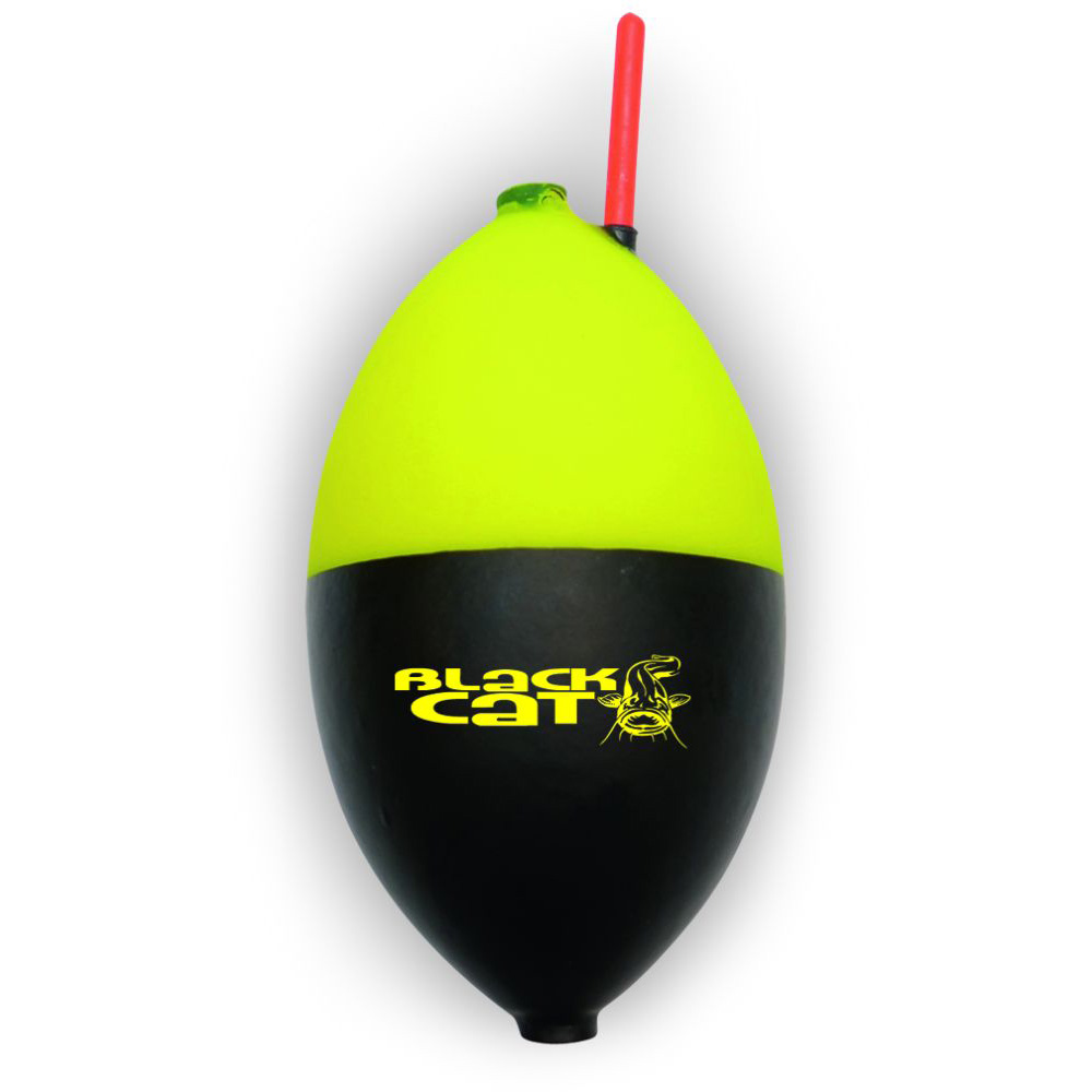 Black Cat Buoy Pose Black Cat Buoy Pose
