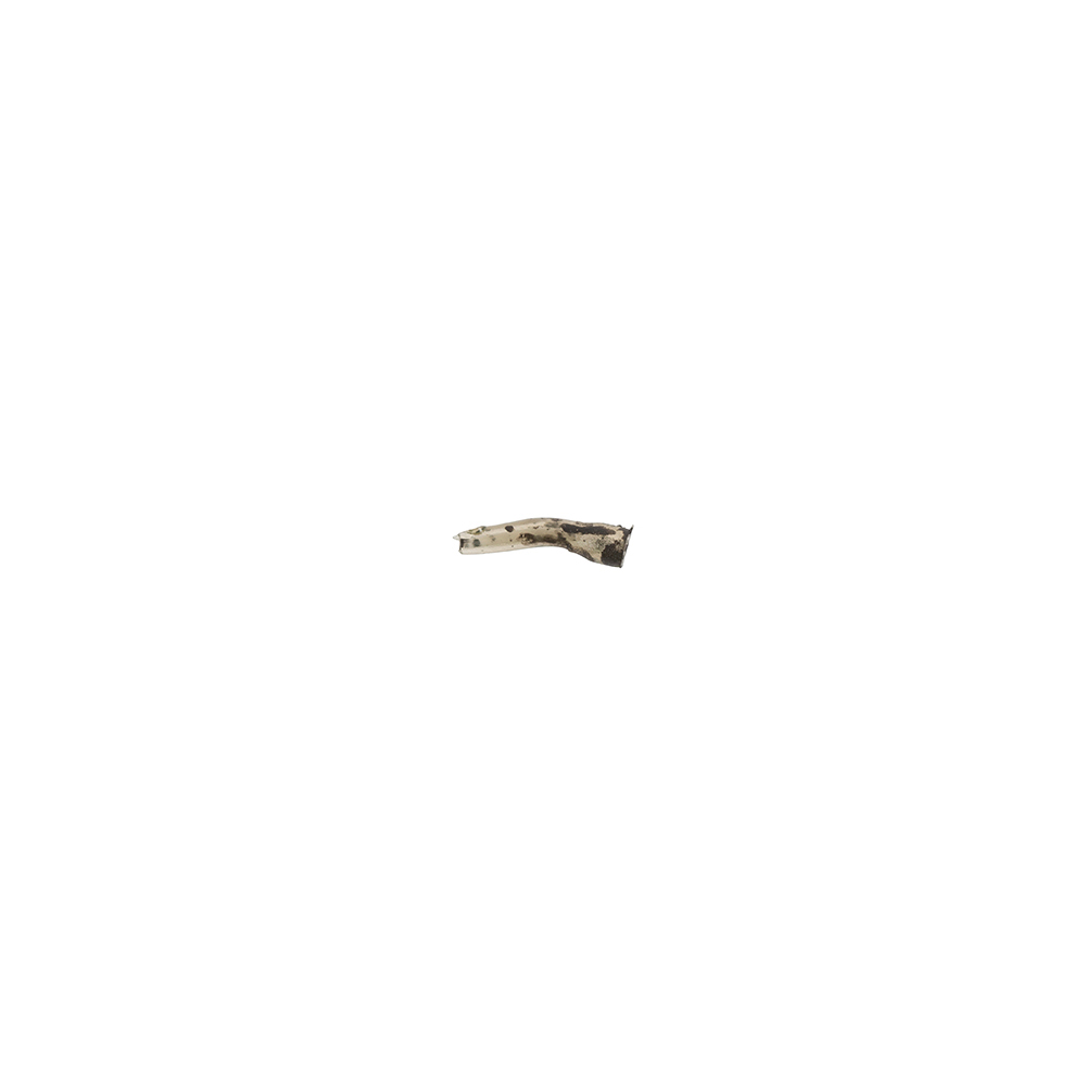 Avid Carp Terminal Tackle - Line Aligners Avid Carp Terminal Tackle - Line Aligners