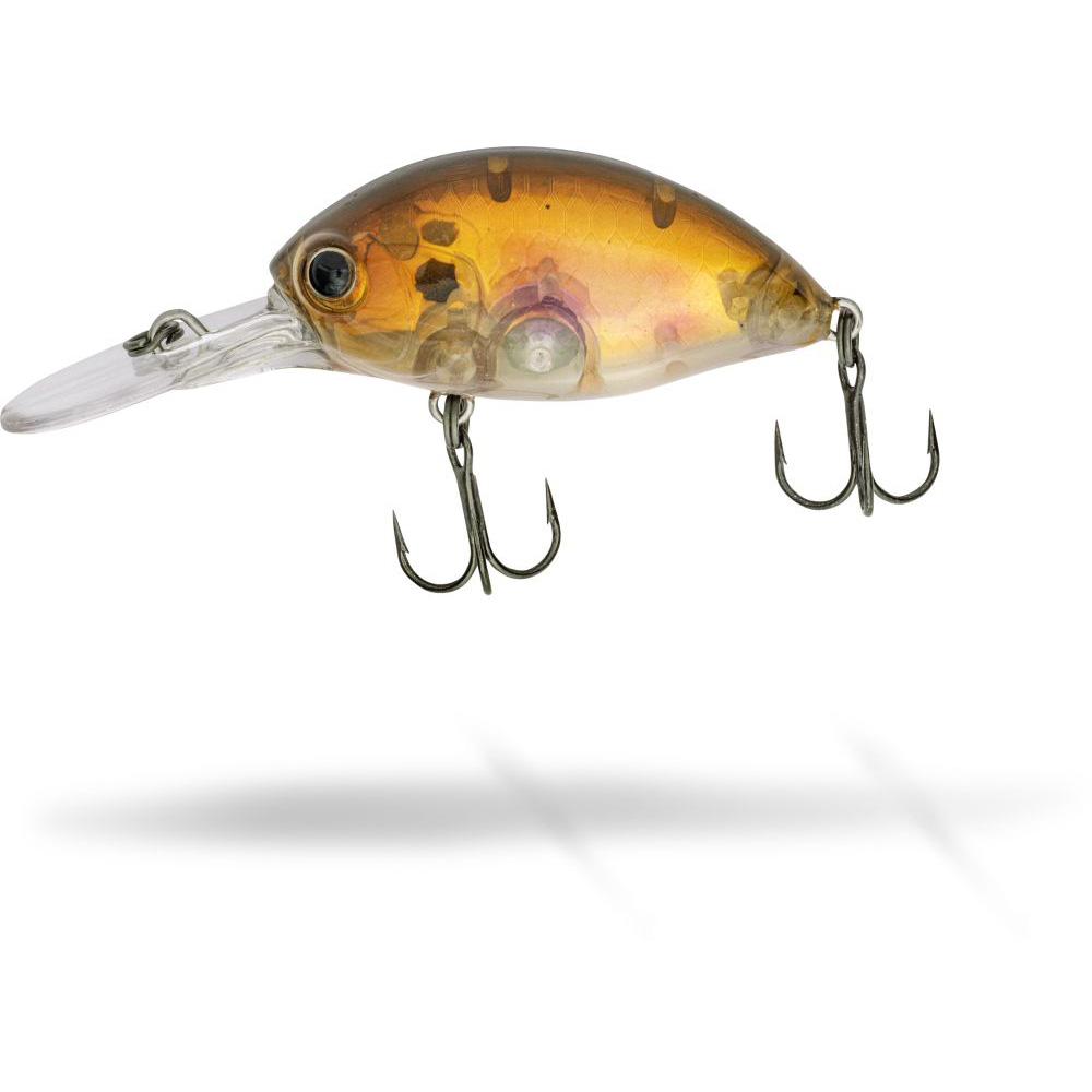Quantum FAT Minnow DR Quantum FAT Minnow DR